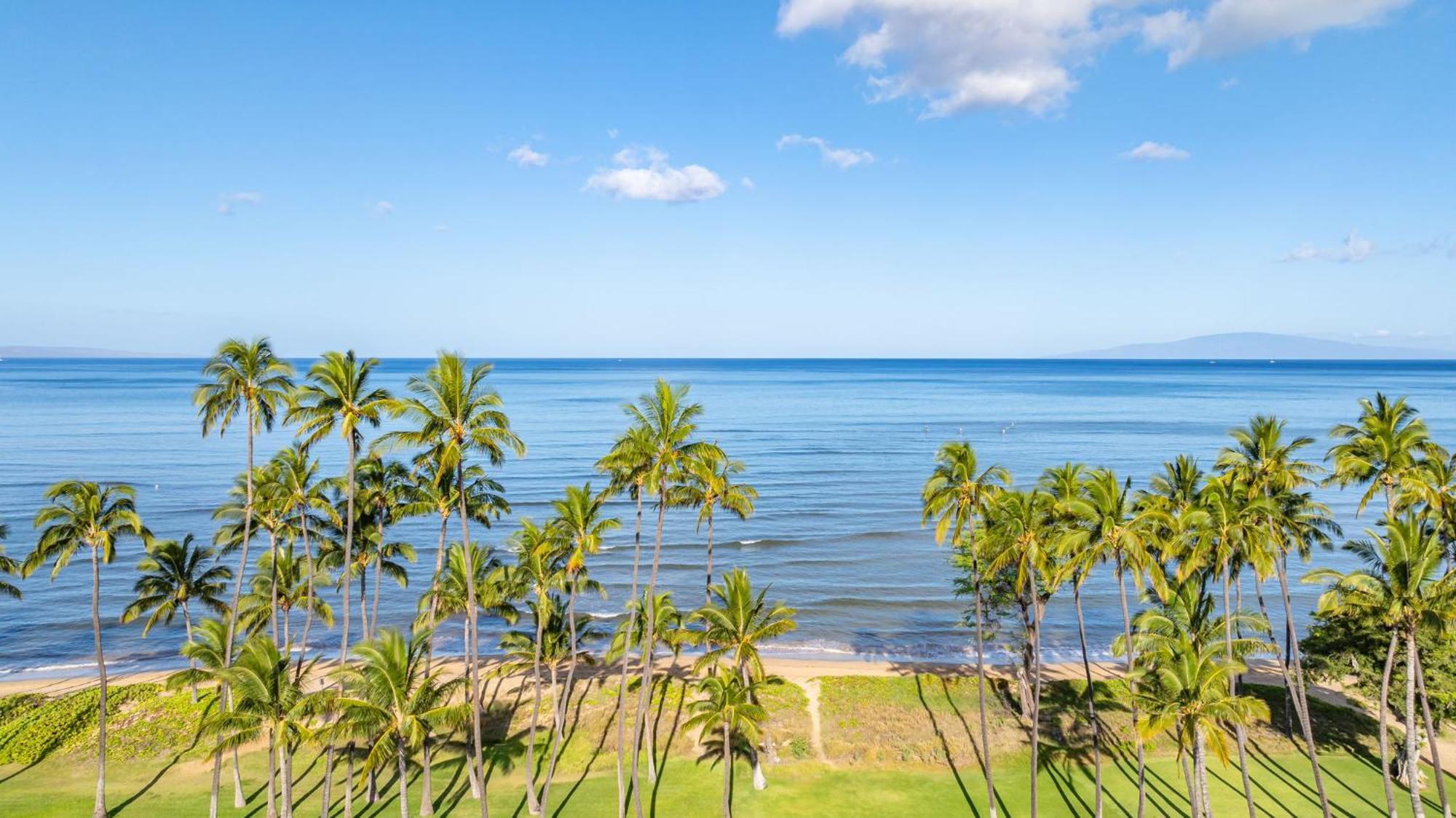Appartement Hale Kai O'Kihei 317 Extérieur photo